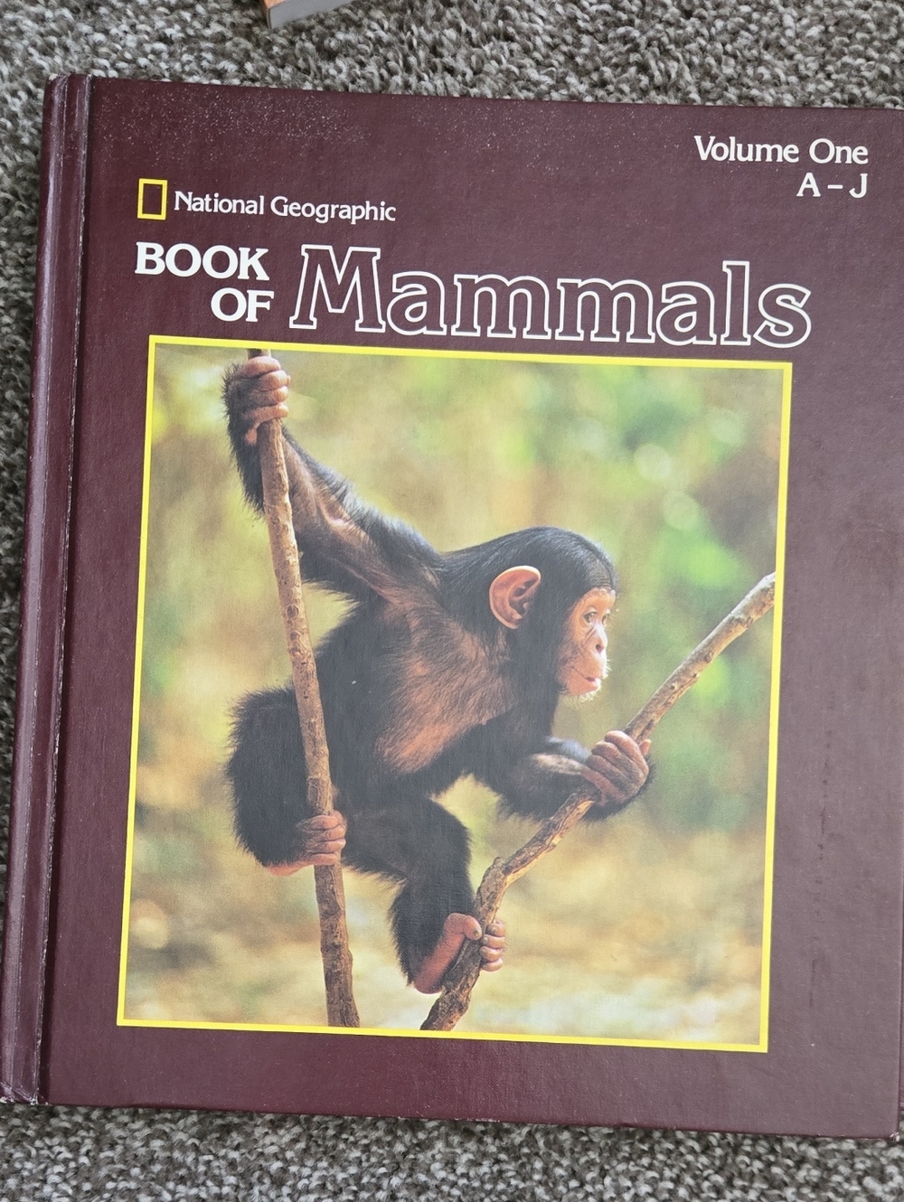 National Geographic Maroon Cover: Book of Mammals with Chimp Photo